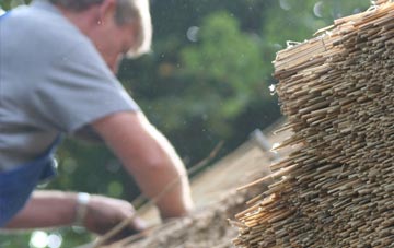 professional Liceasto thatchers